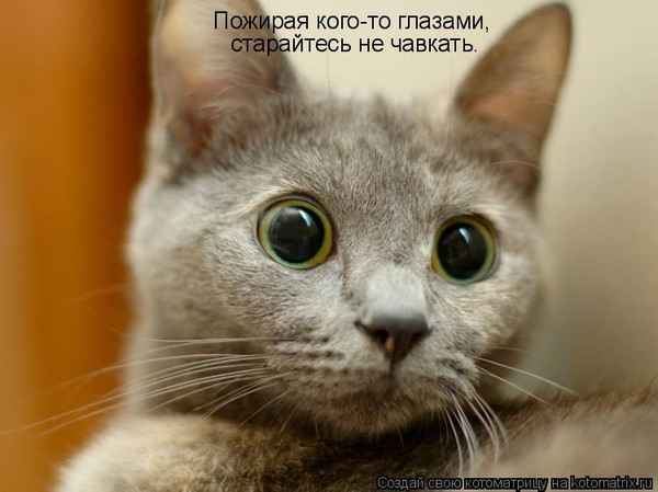 Анна Слезко