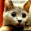 Анна Слезко