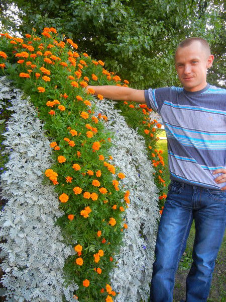 Артем Евтифеев