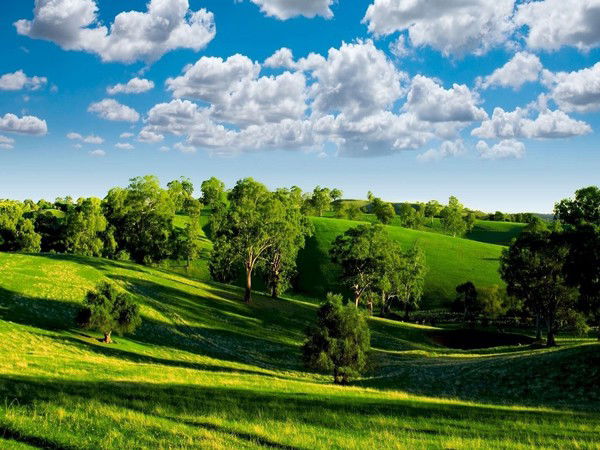 Сергей Сергей