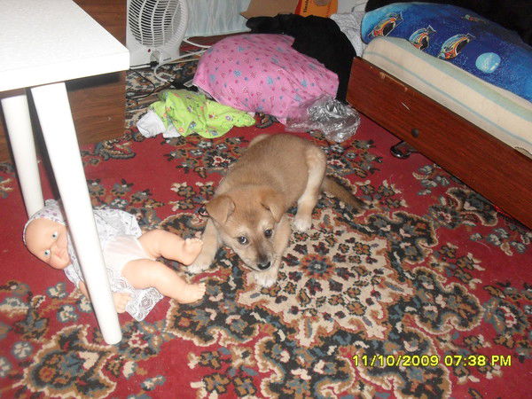 Сергей Лазуткин