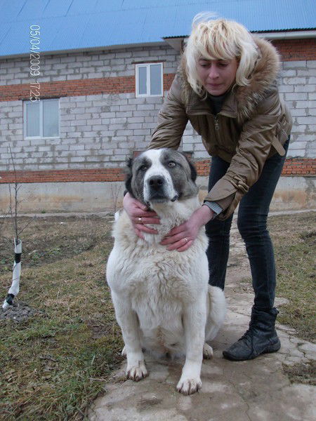 Наталия Наталия