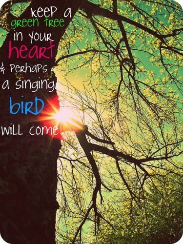 Вика Вичка (Акименко)