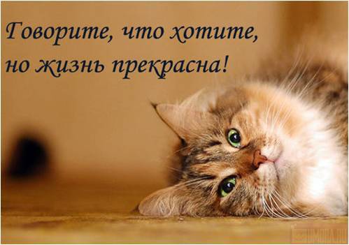 Люба Шахворостова