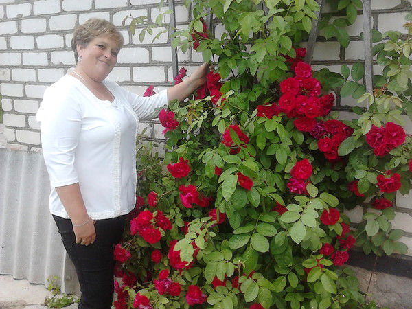 Алёна Волчёк