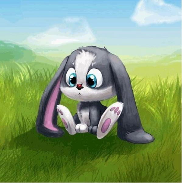 Инна Рафиенко