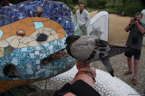 Аркадий Быков