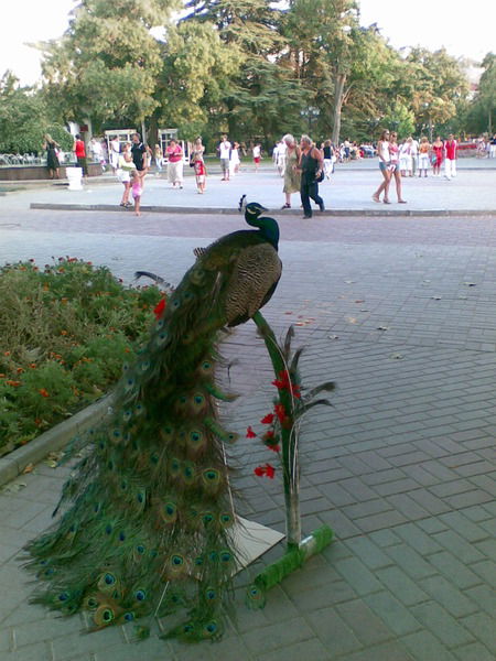 Ирина Бахтиарова