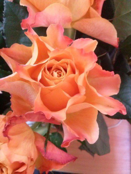 Ольга Семенова