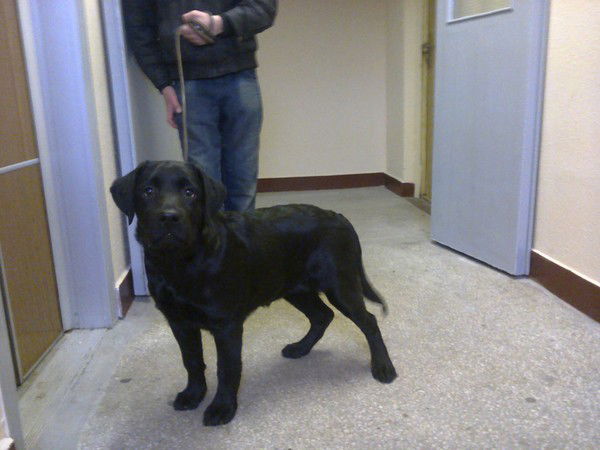 Антон Платов