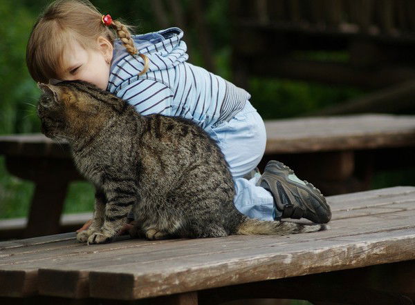 Сергей Ребковец