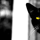 Анастасия Некрасова