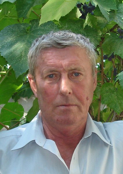 Василий Онищенко