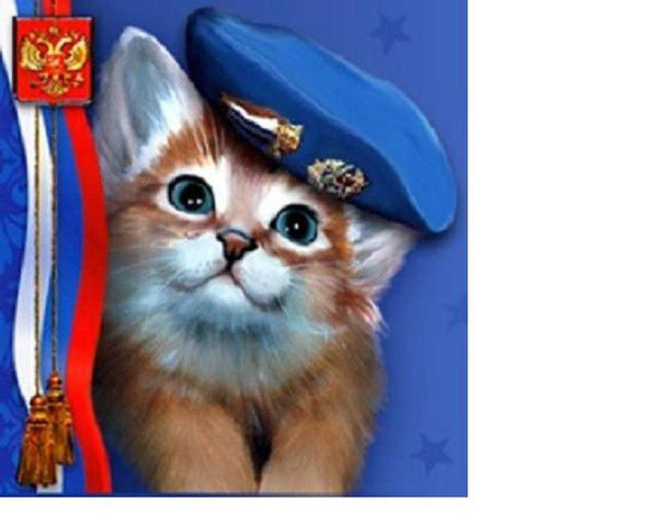 Геннадий Чинков