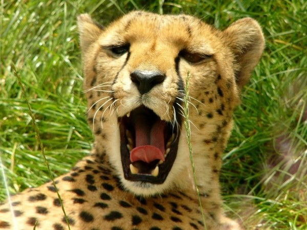 Эдуард Мачулин