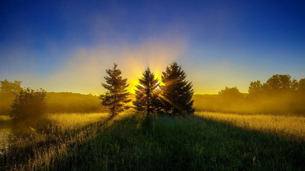 Максим Будин