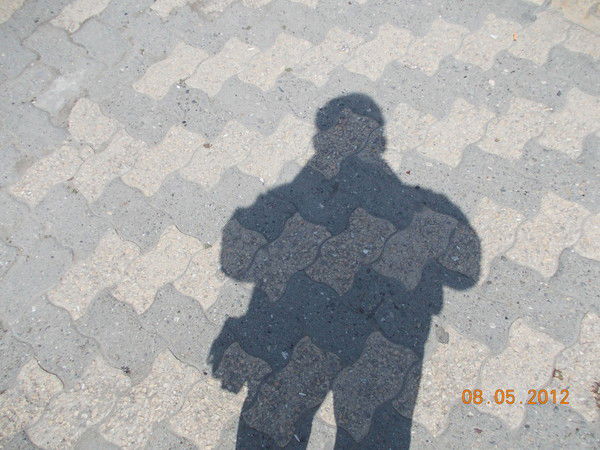 Александр Соколов