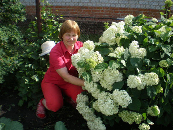 Нина Новичихина