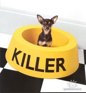 Андрей Ткаченко