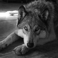 Сергей Рудь