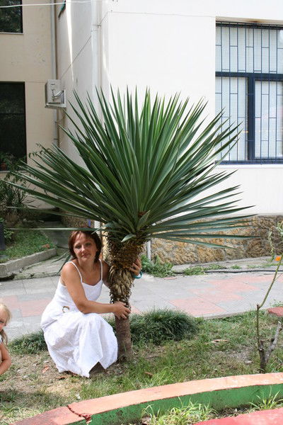 Екатерина Касаткина