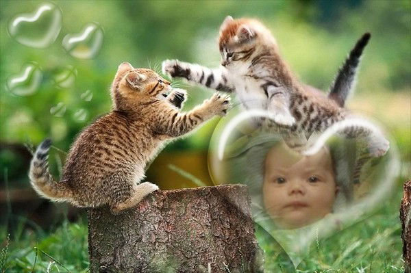 Лариса Зеркина