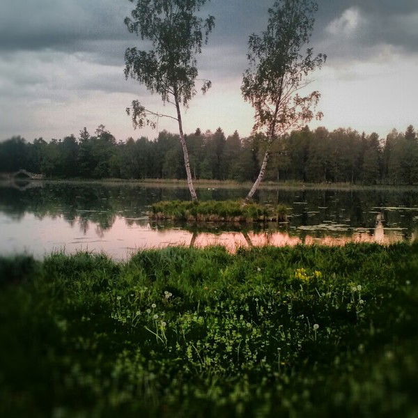 Владимир Гвоздеев