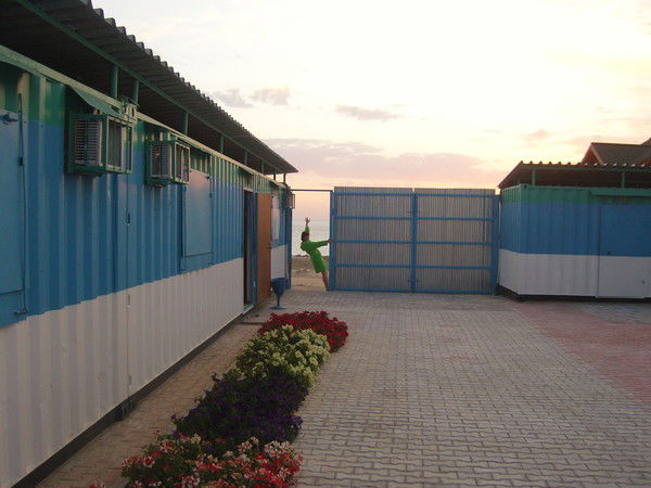 Елена Бессарабова