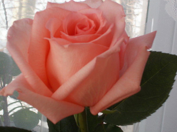 Ирина Устюгова