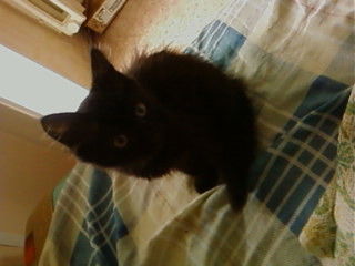 Ульяна Валатикова