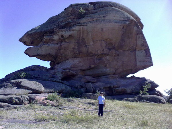 Евгений Ким