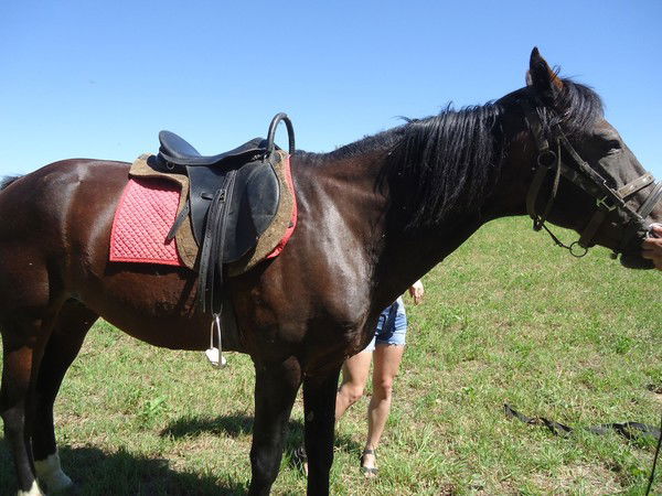 Александр Kostin