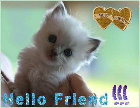 Дмитрий Тарануха