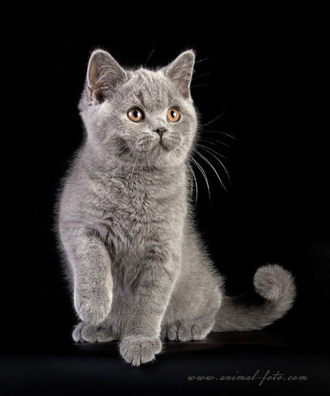 Ирина Юрьева