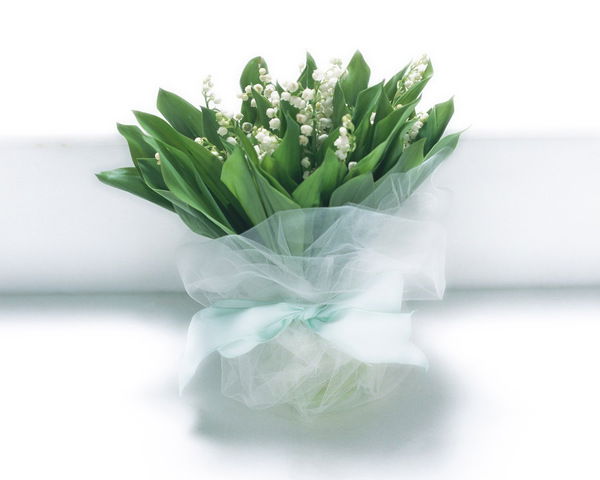 Анна Мырзикова