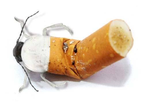 Стефанович Константин