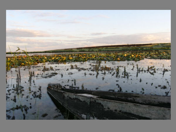 Наталья Вишнякова