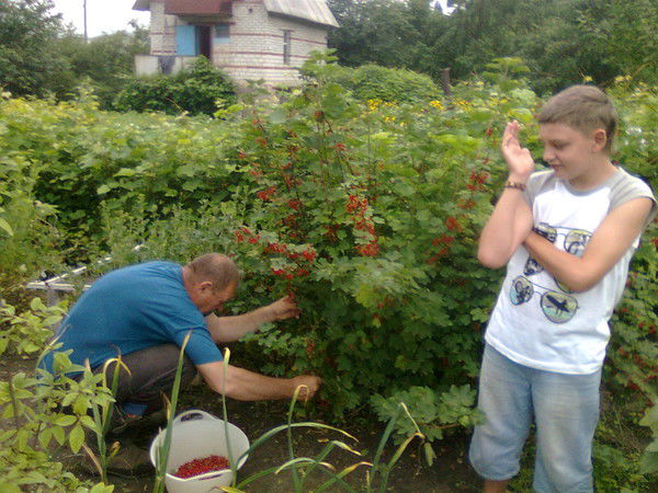 Нина Свиридова