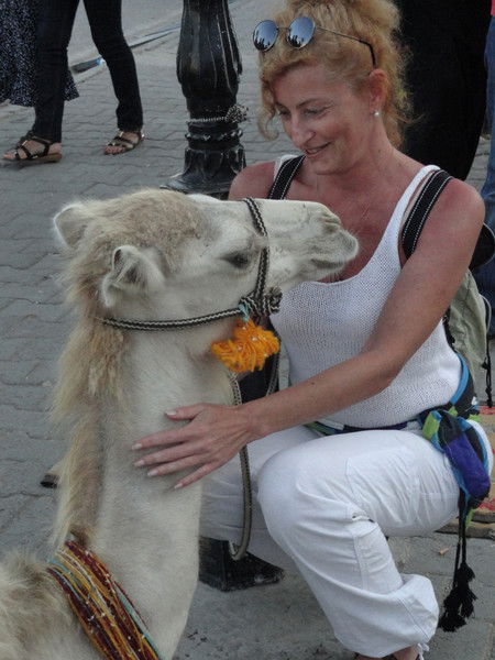 Елена Крымская