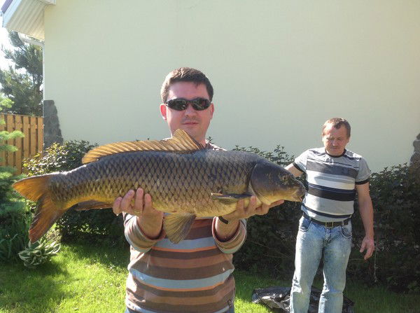 Сергей Акинин