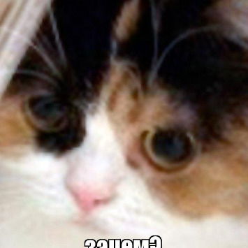 Каринка Валапаева