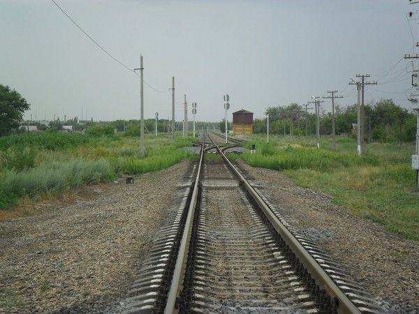 Ольга Жупикова