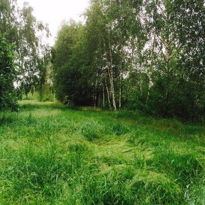 Анна Остапук