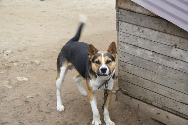 Вячеслав Павлов