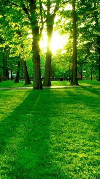 Владимир Артемов