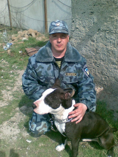 Анатолий Шестак