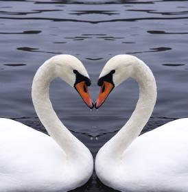 Татьяна Крунтяева