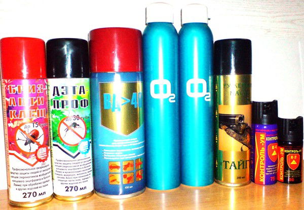 Любовь Шашмурина