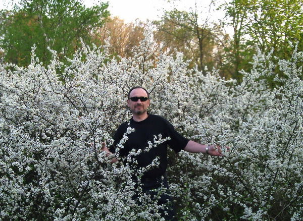 Владимир Молибога