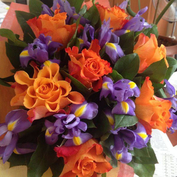 Анастасия Новикова